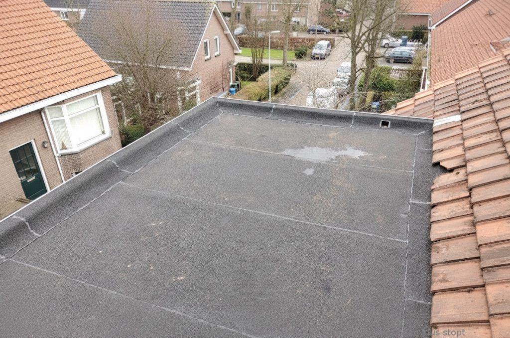 Dakdekker In Najaar Delft
