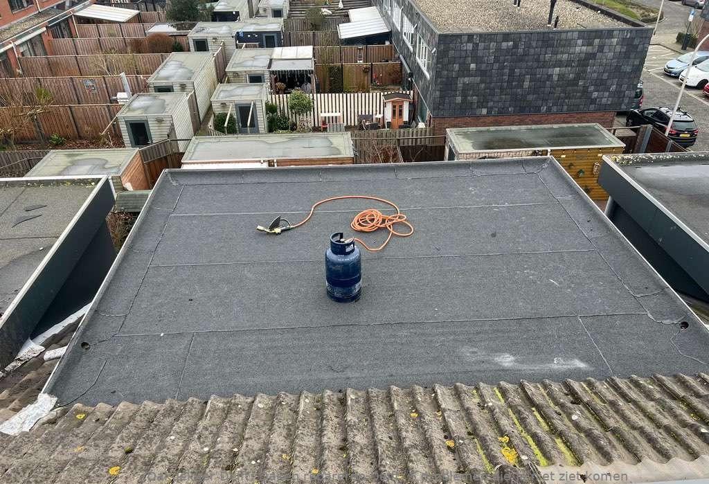 Daken Repareren Delft
