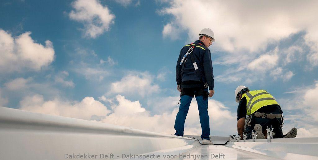 Dakinspectie Voor Bedrijven Delft
