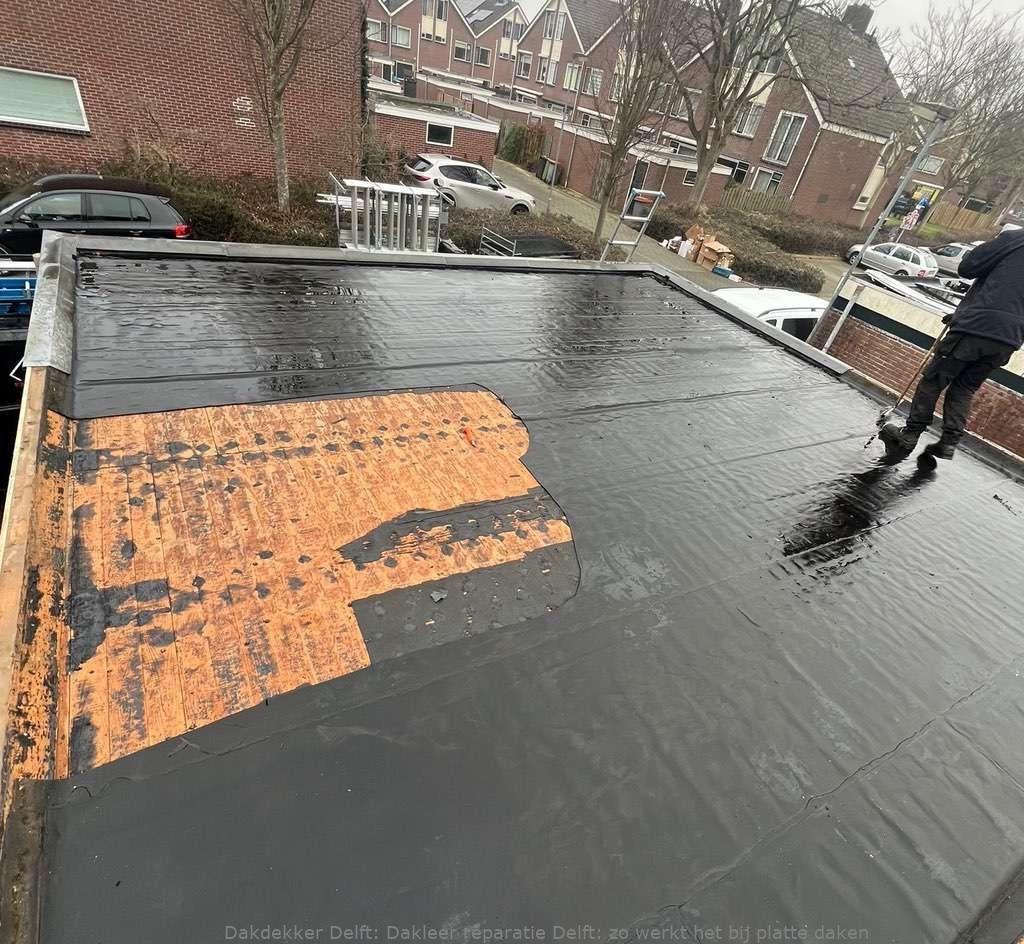 Dakleer Reparatie Delft