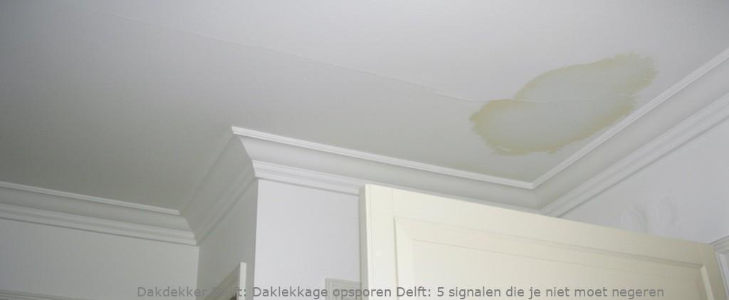 Daklekkage Opsporen Delft 1