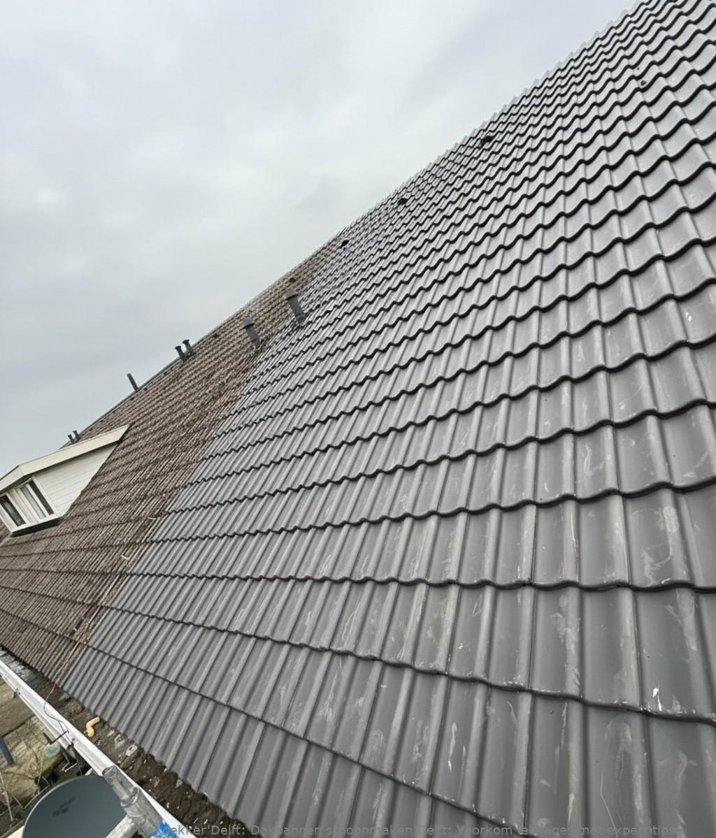 Dakpannen Schoonmaken Delft