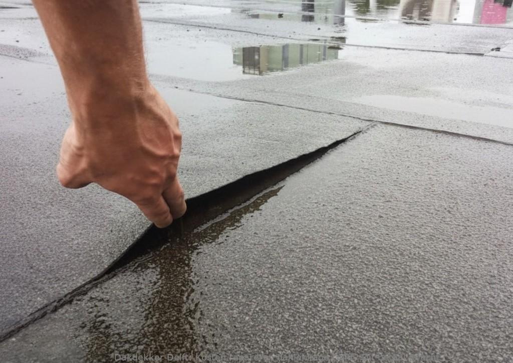Kosten Repareren Daklekkage Delft