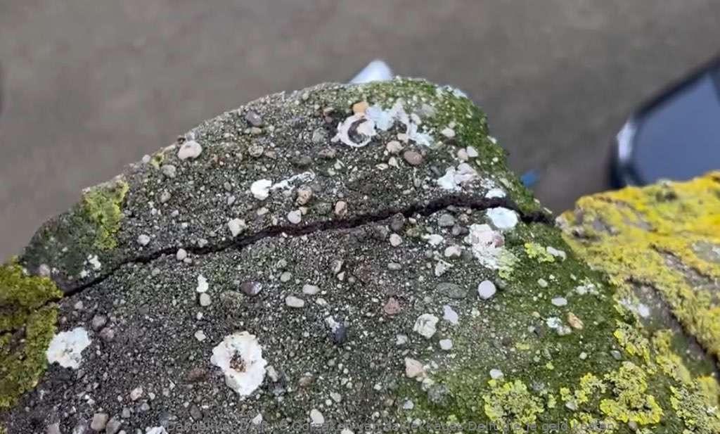 Oorzaken Van Daklekkages Delft