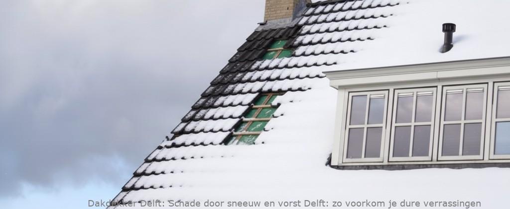 Schade Door Sneeuw En Vorst Delft